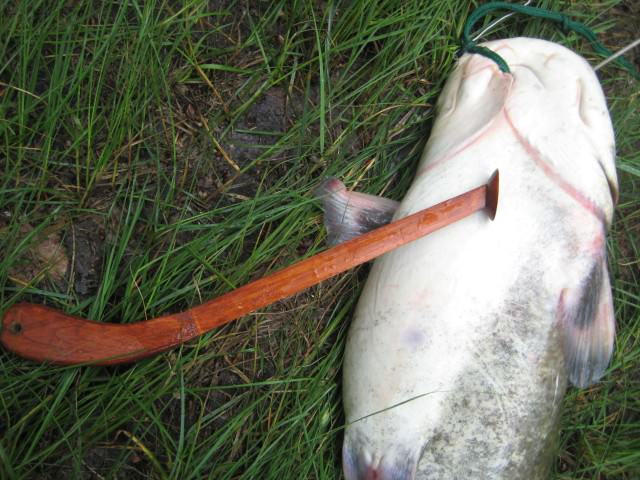 Сом на квок, – отчет о рыбалке на Вятке