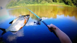 Способы рыбалки
