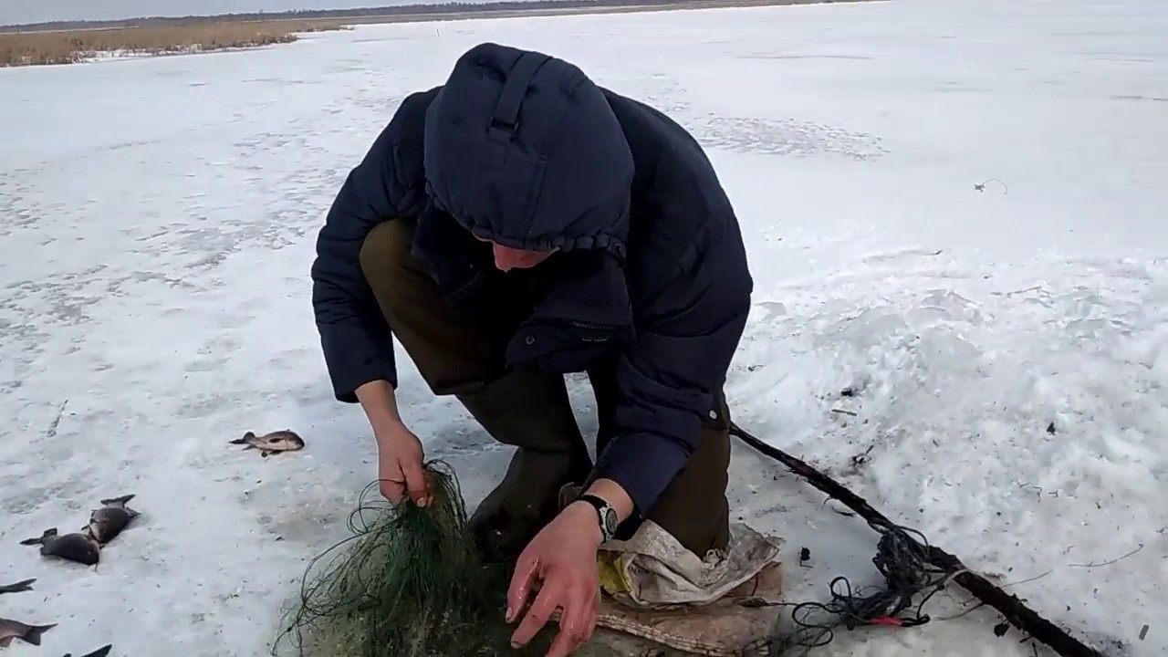 Видео ловли рыбы зимой. Сеть для подледной рыбалки. Сеть для зимней подледной рыбалки,. Рыбалка сетями зимой. Зимние сети для рыбалки зимой.