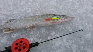 Зимние снасти для рыбалки