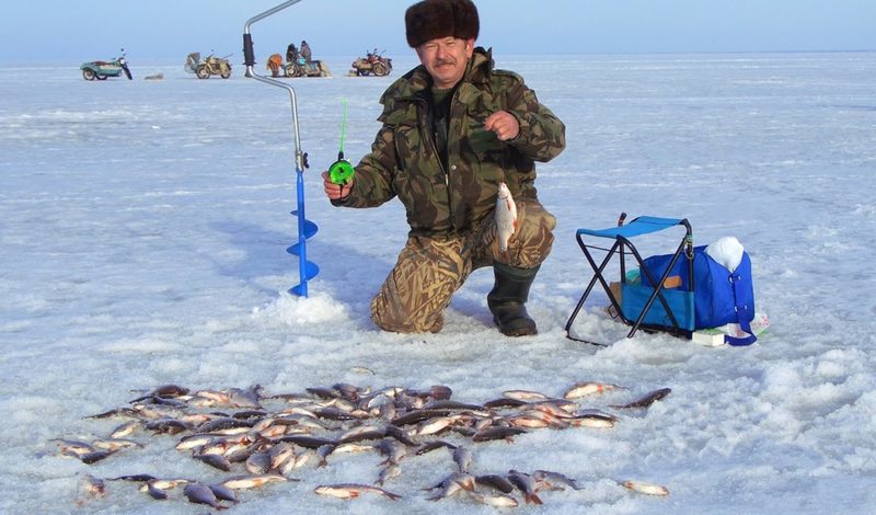 Особенности рыбалки в холодный период года: каковы нюансы ловли окуня зимой? Обучающее видео