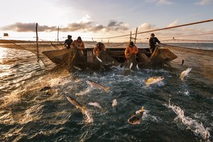 Новости с водоемов про рыбалку в карагандинской области