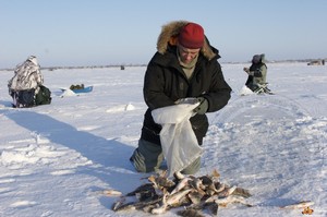 Зимняя рыбалка в коми