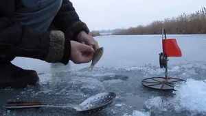 Рыбалка зимой на жерлицы
