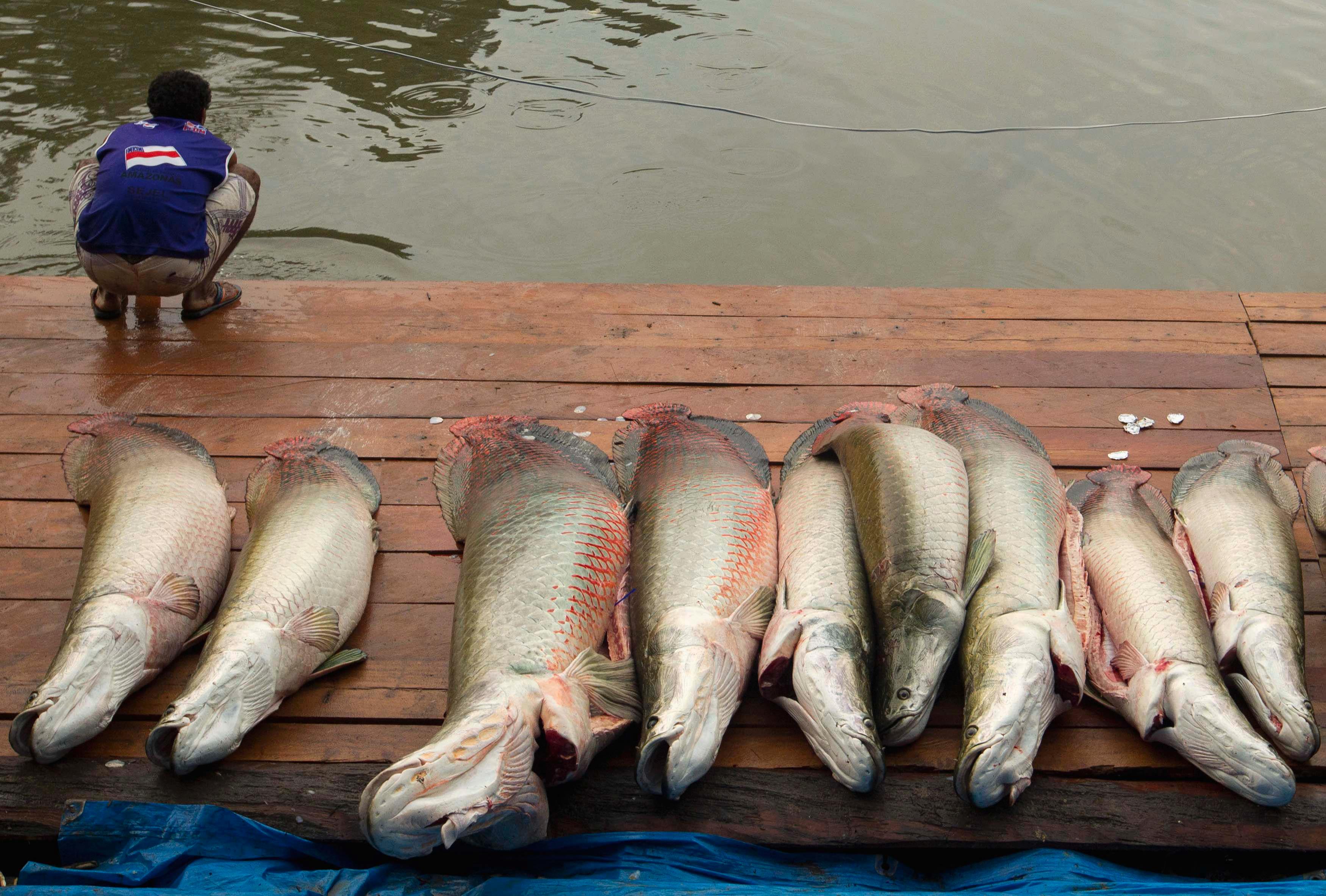 Как ловить рыбу на рыбалке - полезные советы и рекомендации