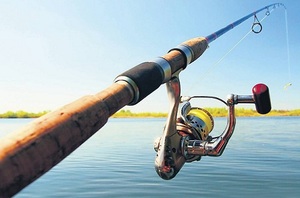  виды удочек для летней рыбалки