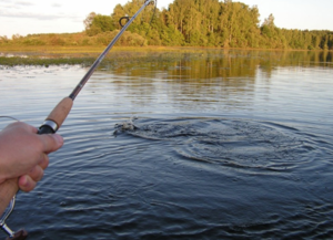 Как выбрать место для рыбалки в  Тверской области